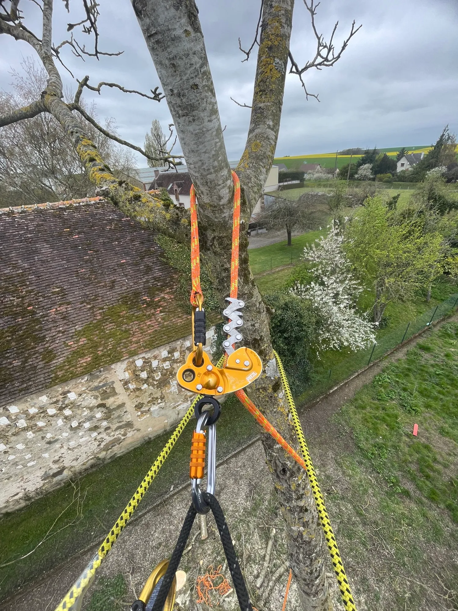Poulie et mousquetons sur sangle d’ancrage, corde tendue dans la charpentière
