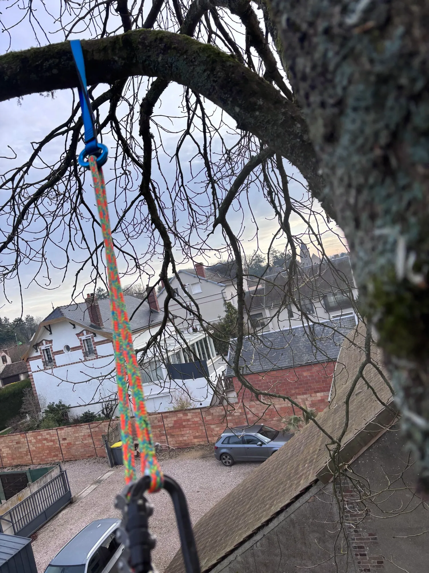 Corde de rappel tendue depuis une branche, mousqueton en tête