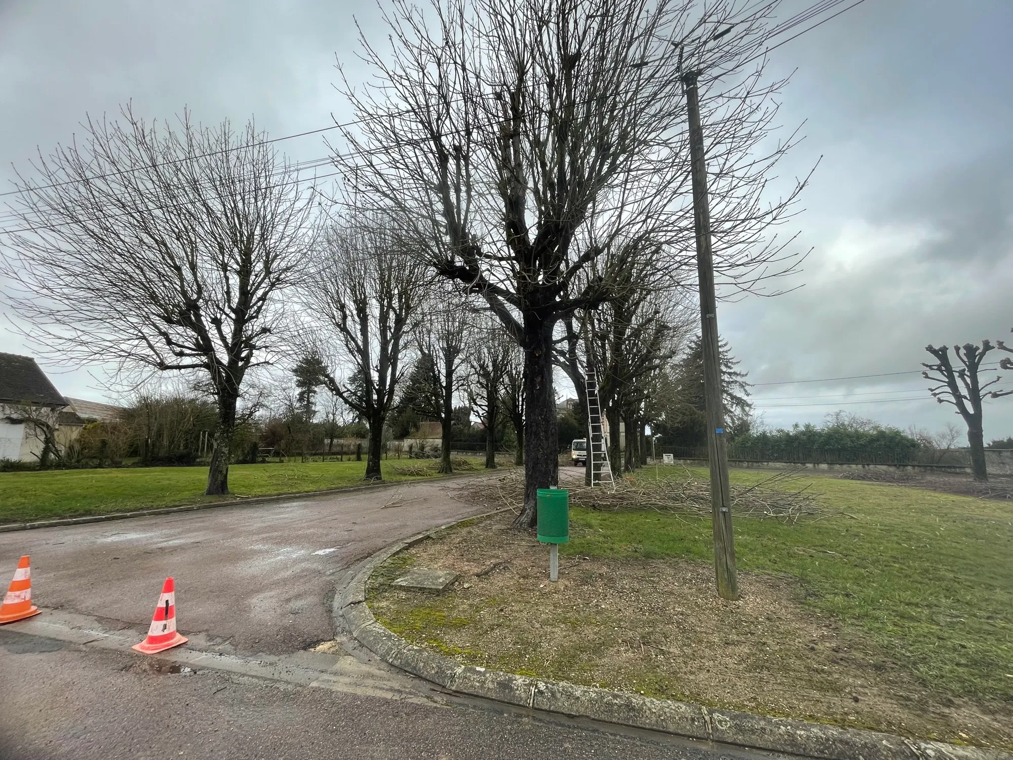 Cônes de signalisation disposés en bord de voie sous les arbres en cours de taille
